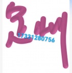 定州普工技工多岗位日结L